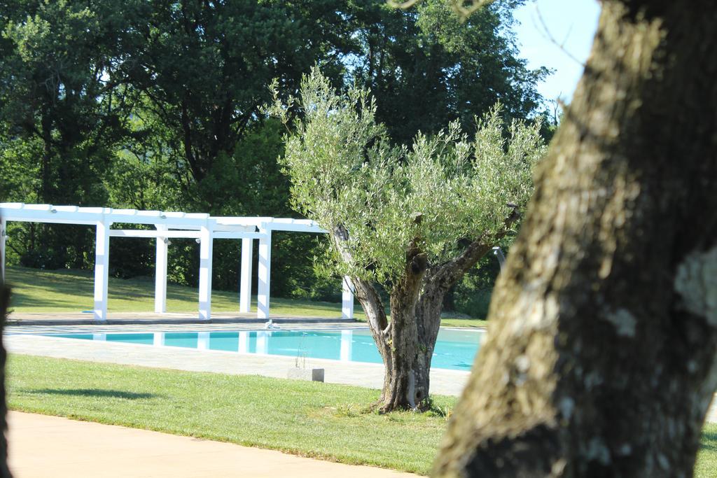 Agriturismo Creta Rossa Torre di Ruggiero Екстериор снимка